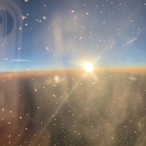 Meet your Posher, Alison